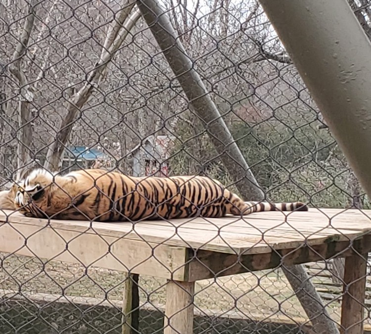 Mesker Park Zoo (Evansville,&nbspIN)